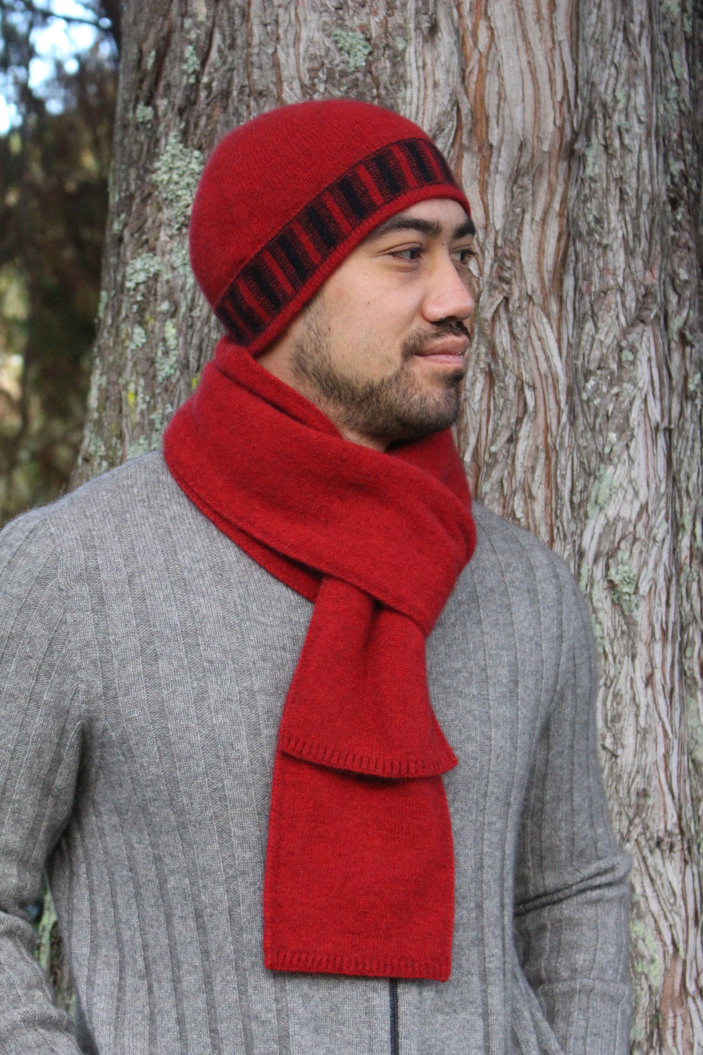 Stripe Trim Beanie - Possum Merino